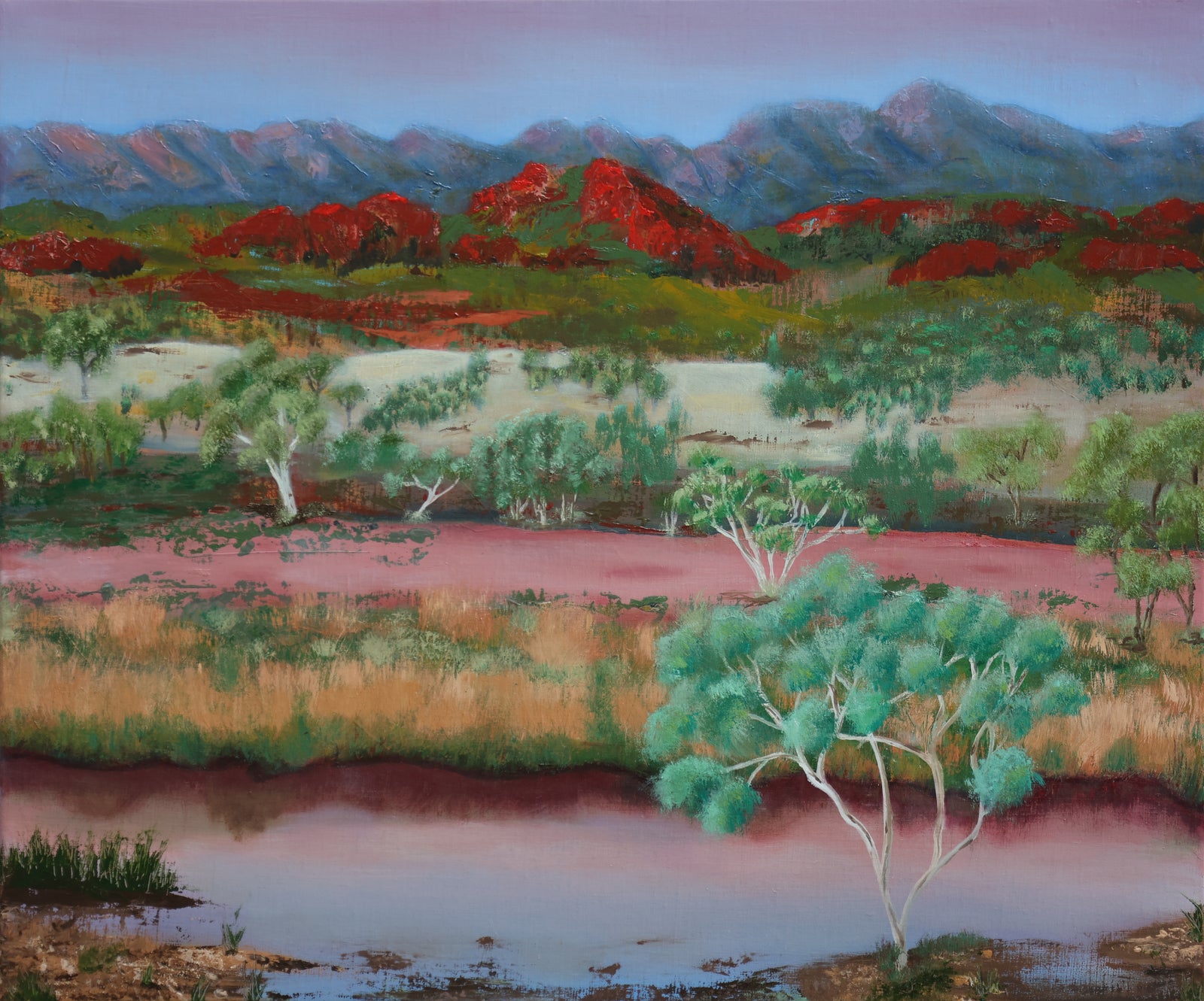 Tjoritja National Park - Oil on Linen - 610x510mm