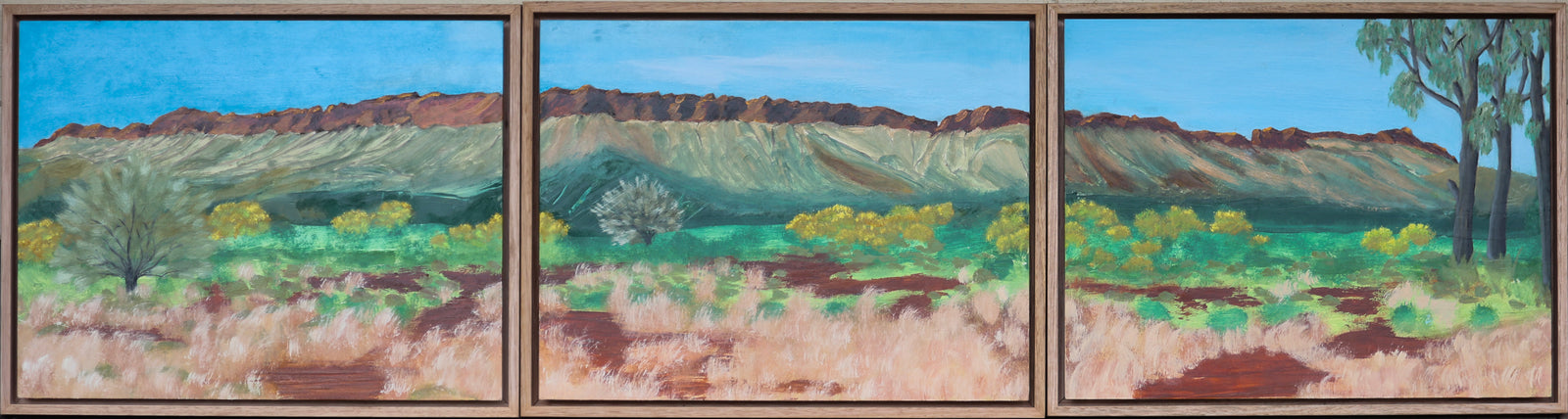 West MacDonnell Ranges - Oil on Board - 1470x390mm