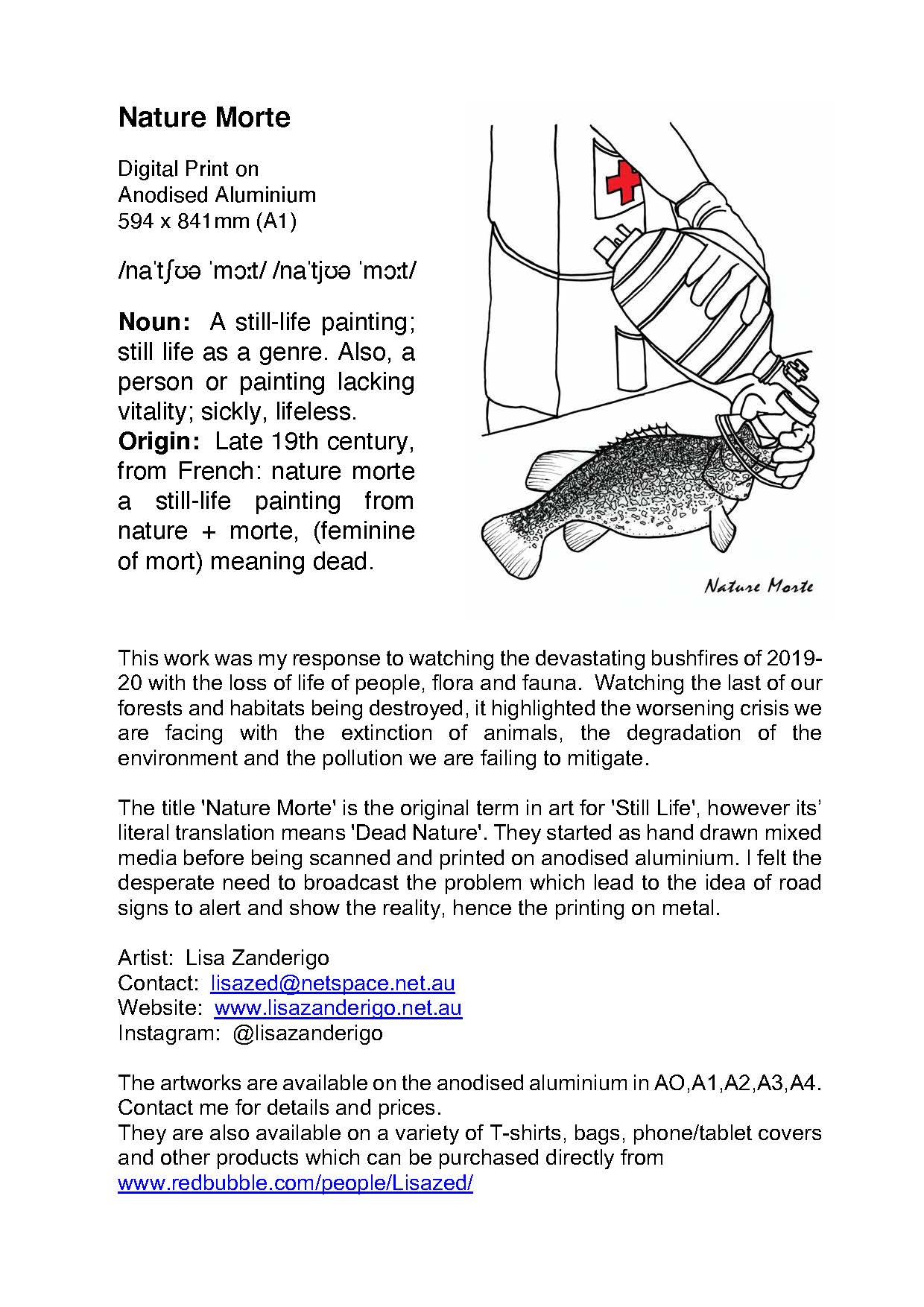 Nature Morte Artist Statement & Bio