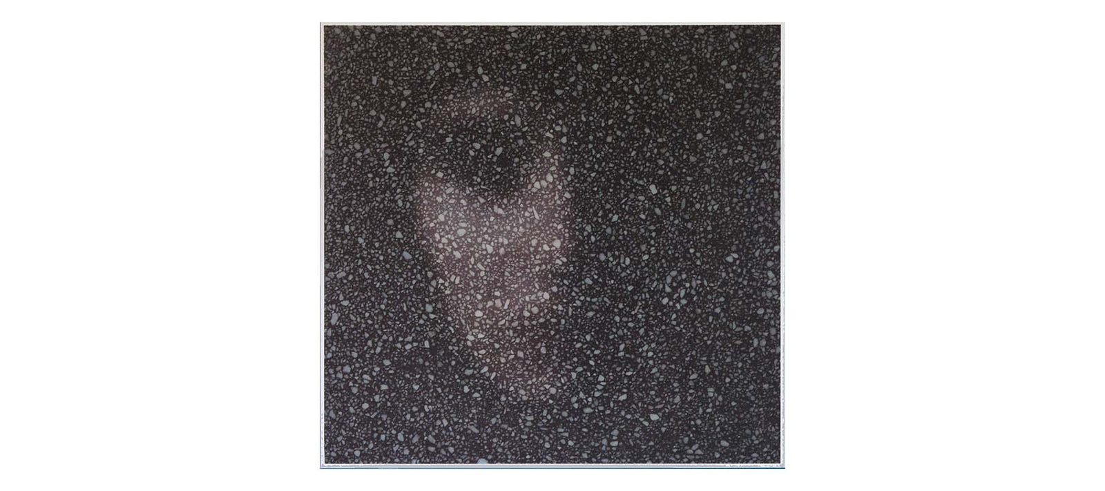 Lisa Zanderigo Colonisation