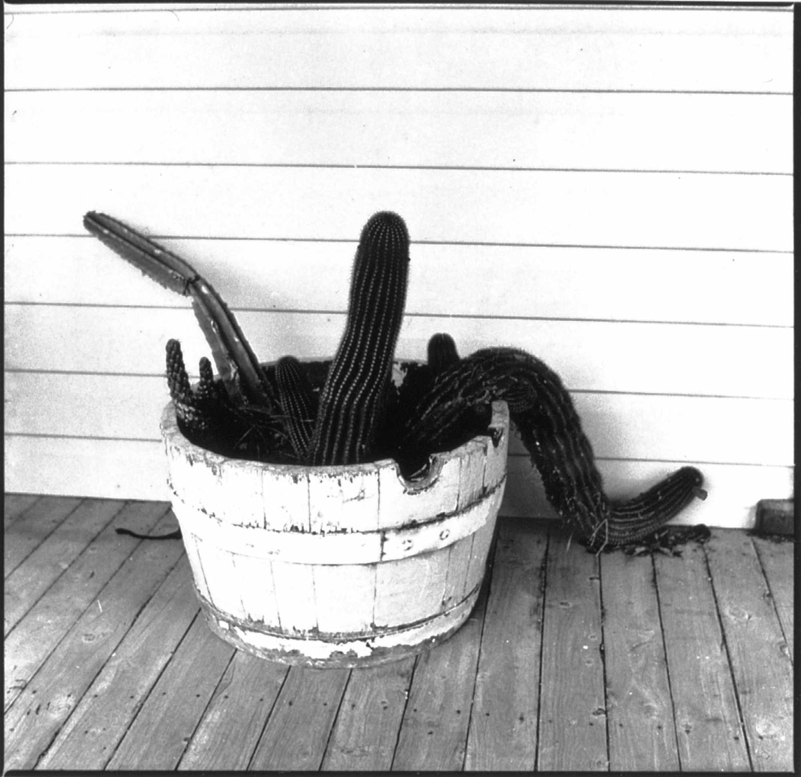 Barrel - Siver Gelatin FB Print - 205 x 205mm