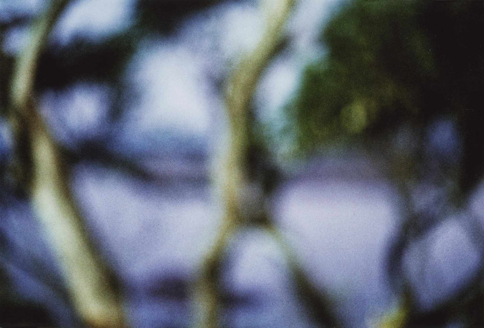 Mind's Eye XVII - Type C Print_ 410 x 310mm