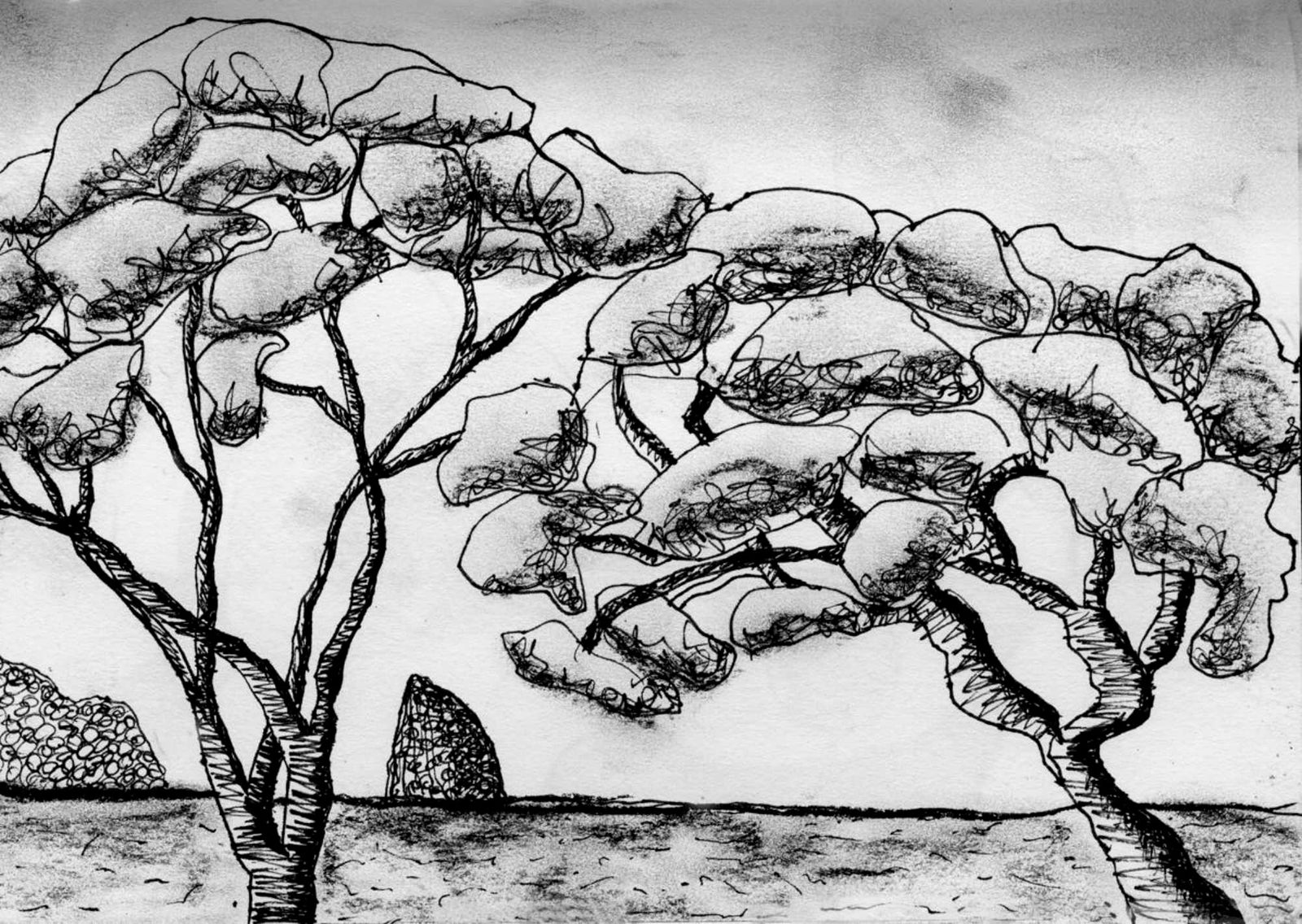 Sail Rock Waipu - Ink on Cartridge - 300 x 210mm