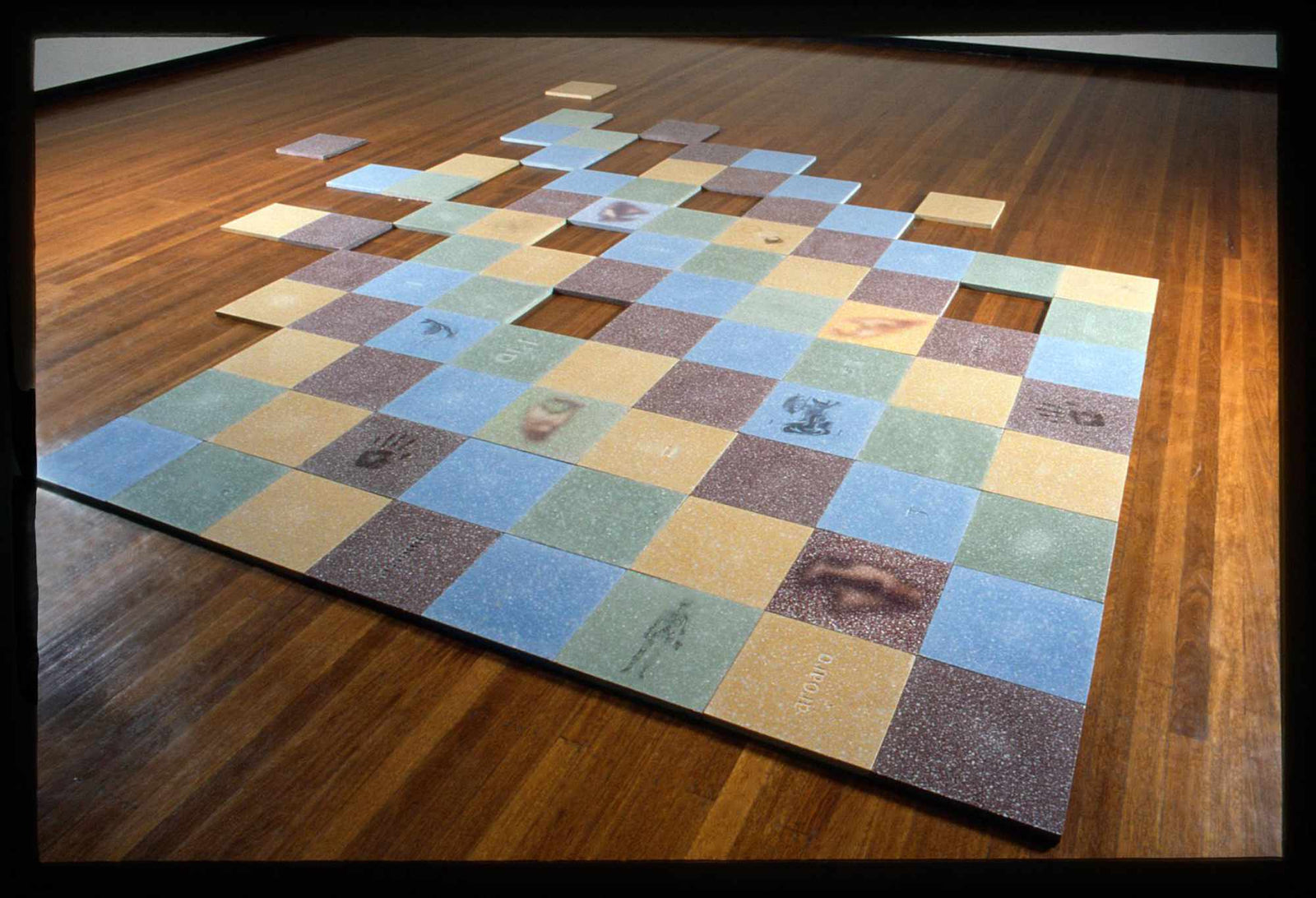 Self Colonisation In Situ 1