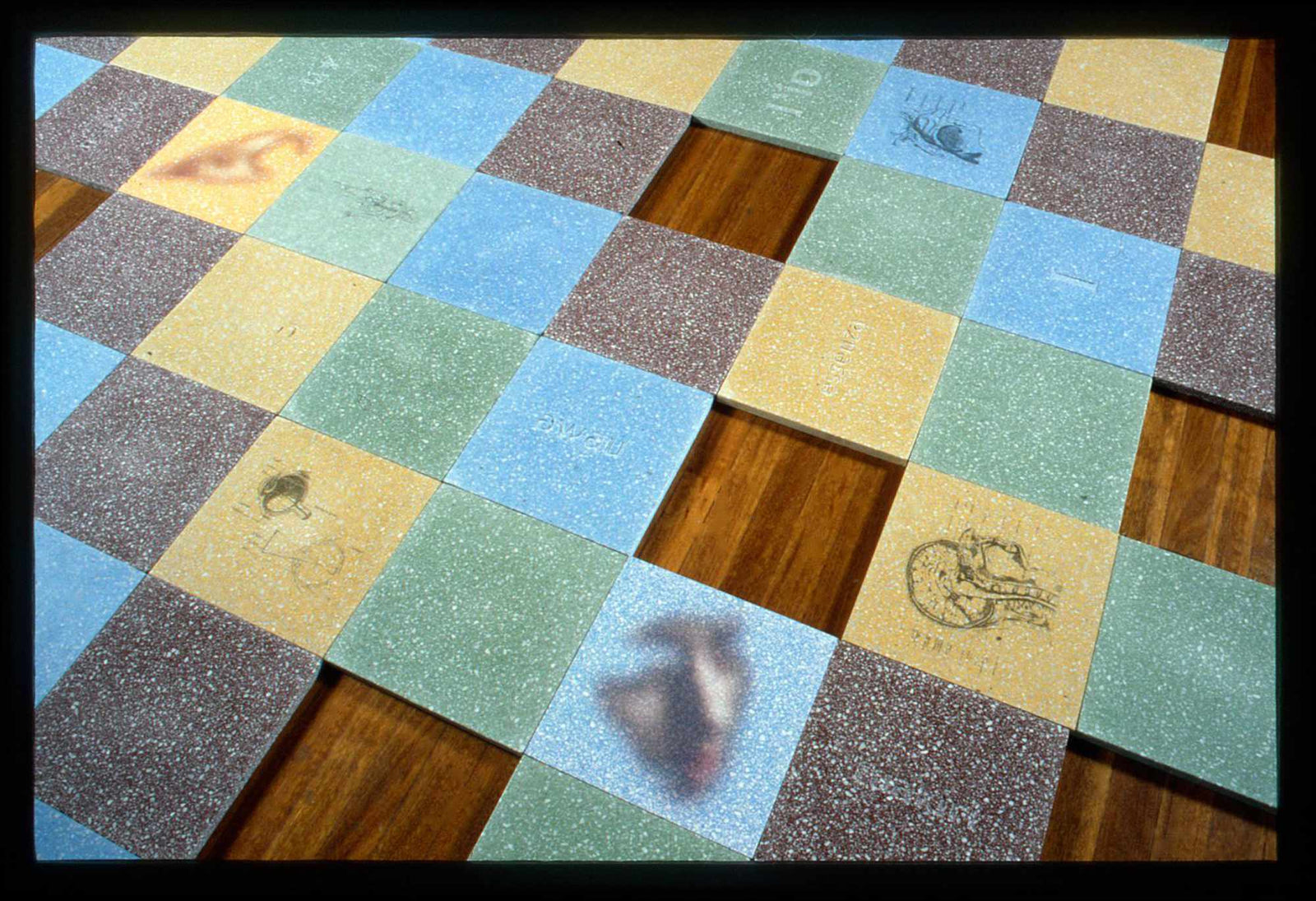 Self Colonisation In Situ 2