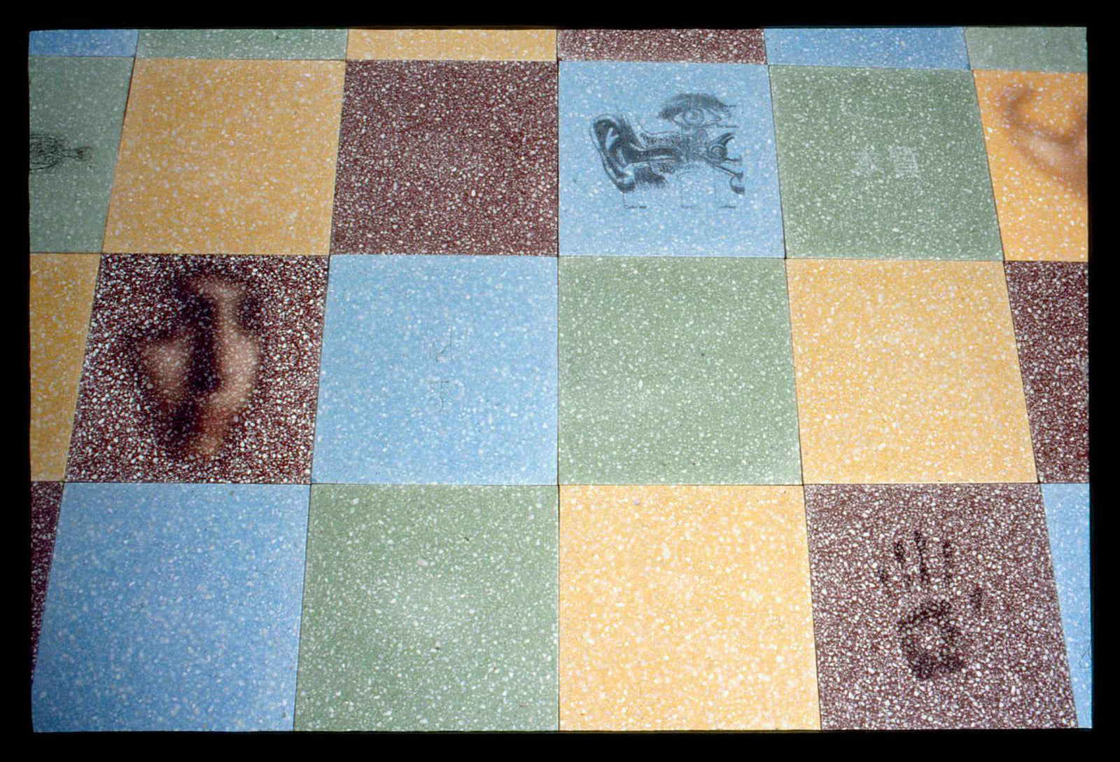 Self Colonisation In Situ 3