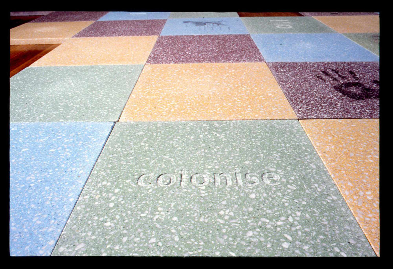 Self Colonisation In Situ 4