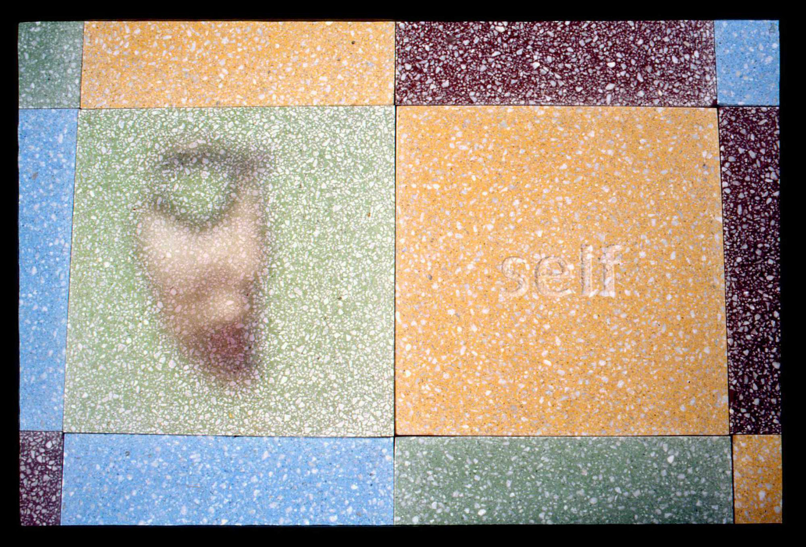 Self Colonisation In Situ 5