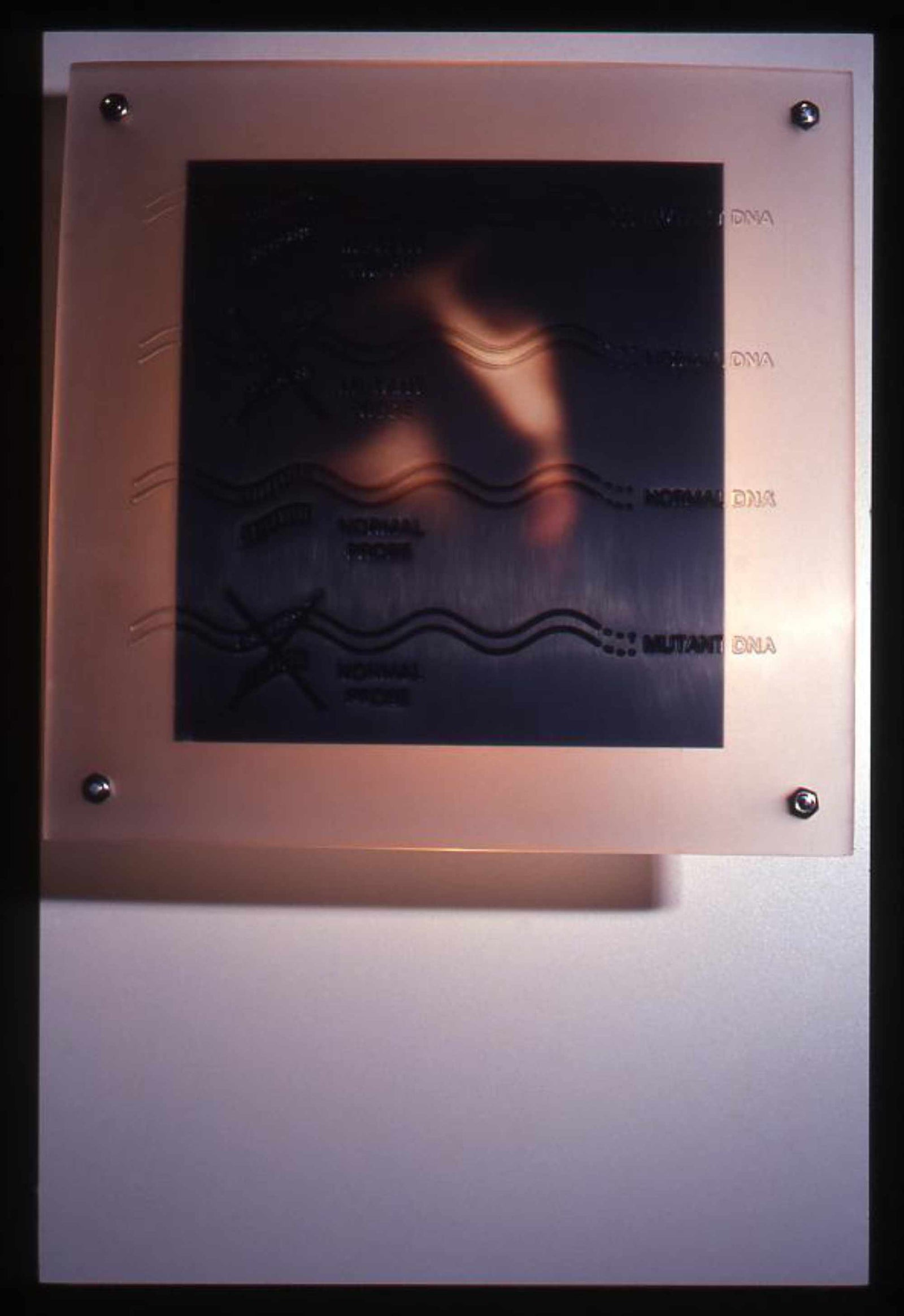 The Act of Being VIII - Cibachrome & Fibre Glass Resin - 300 x 300mm