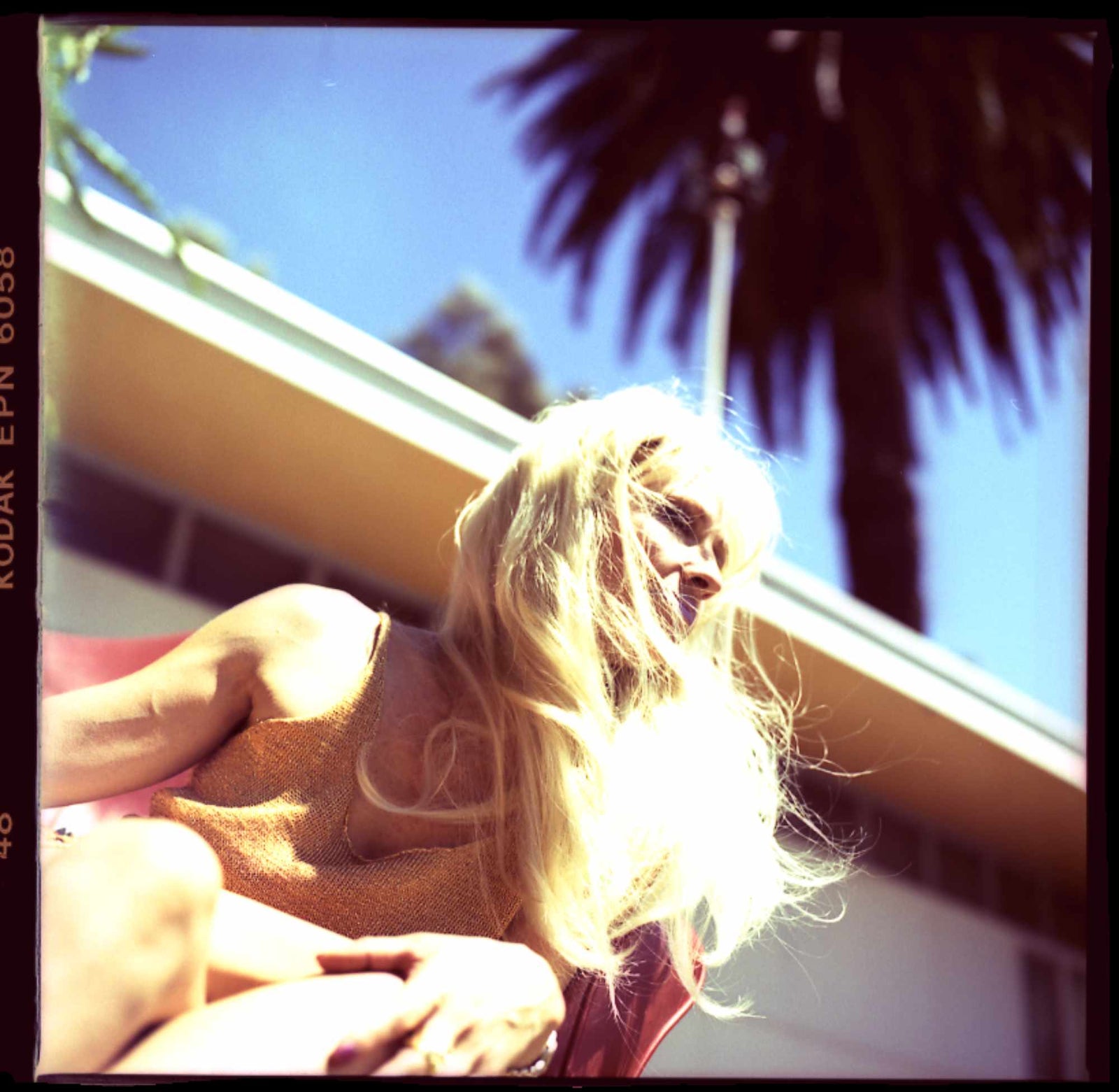 Vainglory - Type C Print - 800 x 800mm