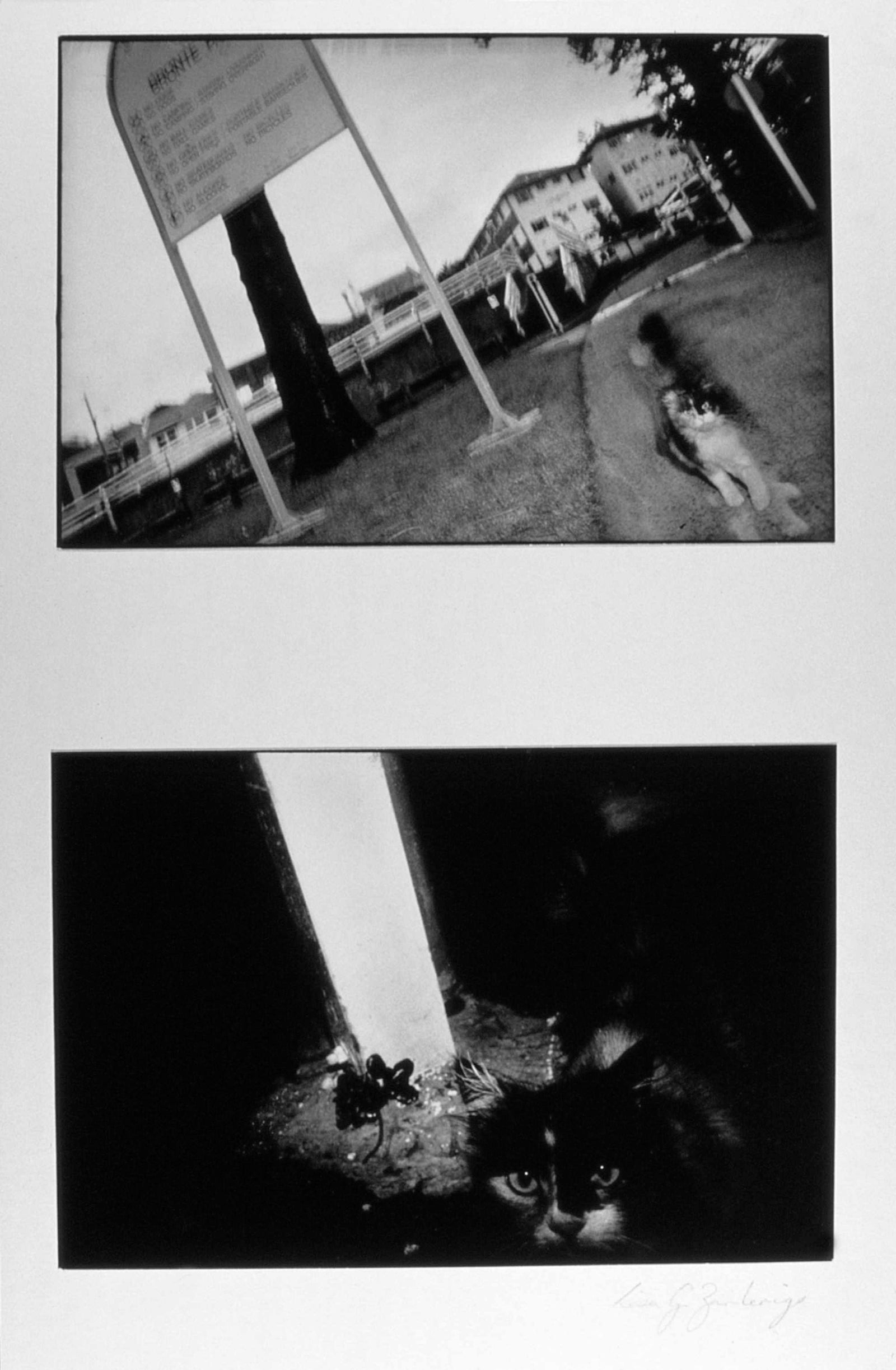 onte Park Dyptich II - Siver Gelatin FB Print - 410 x 710mm